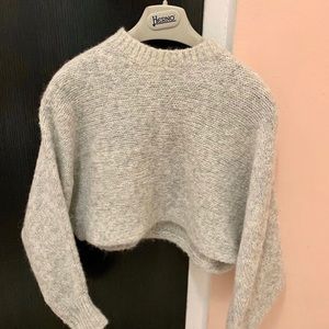 Aritzia Wilfred Free Crop Knit